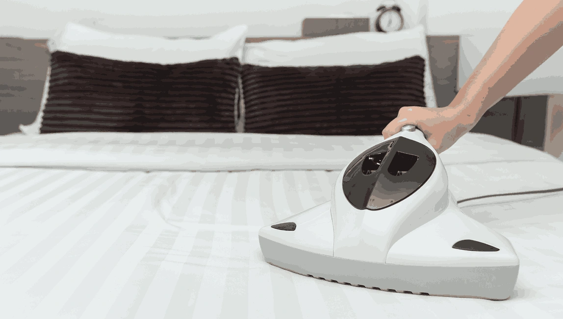 Professional Mattress Cleaning Thornbury